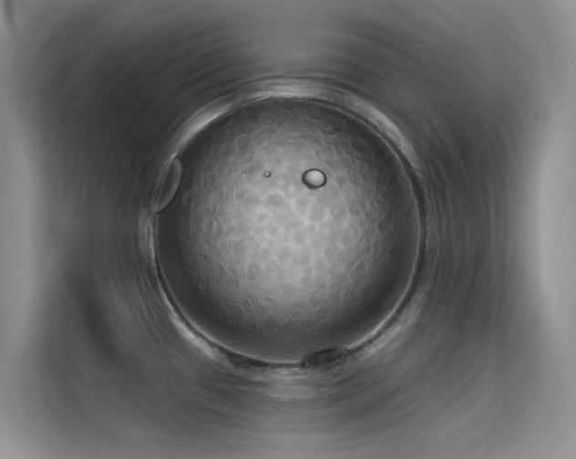 X0000114721433200910211338