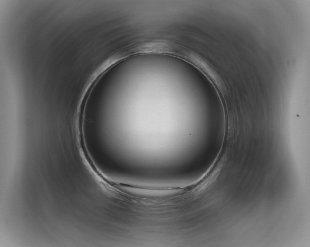 X0000114721434200910211338