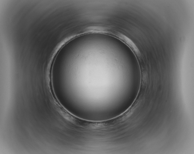 X0000114721435200910211338