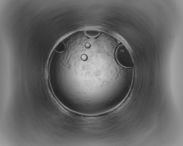 X0000114721436200910211338