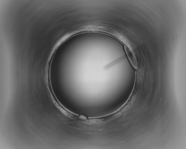 X0000114721437200910211338