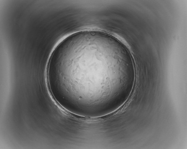 X0000114721440200910211338