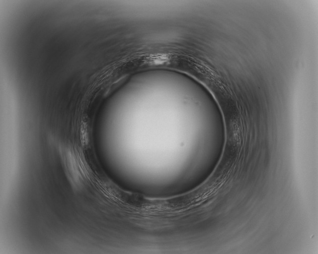 X0000114721442200910211338