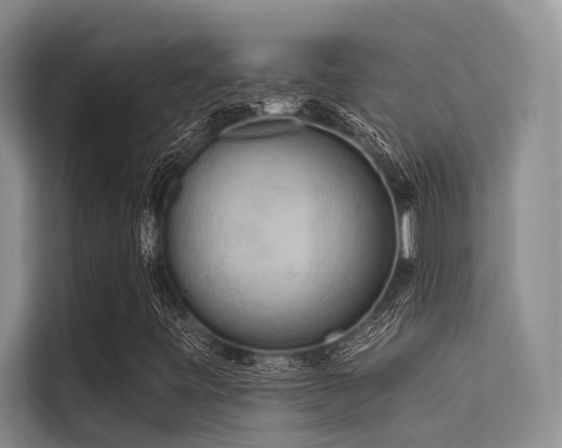 X0000114721443200910211338