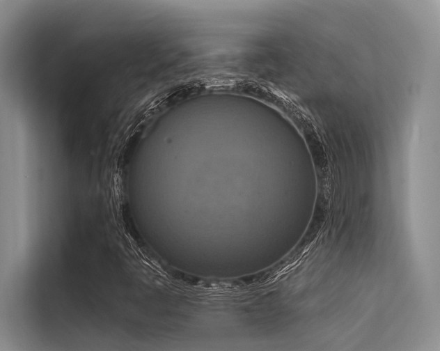 X0000114721445200910211338