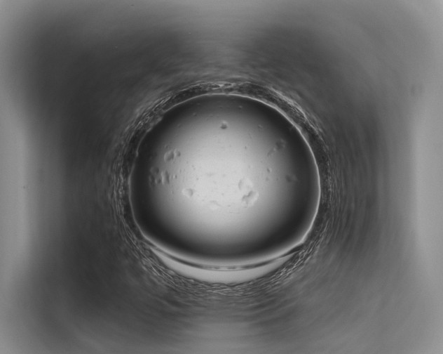 X0000114721447200910211337