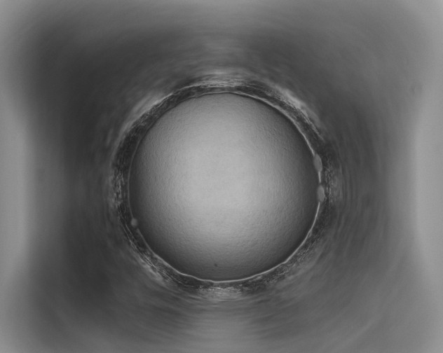 X0000114721448200910211337