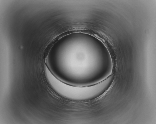 X0000114721449200910211337