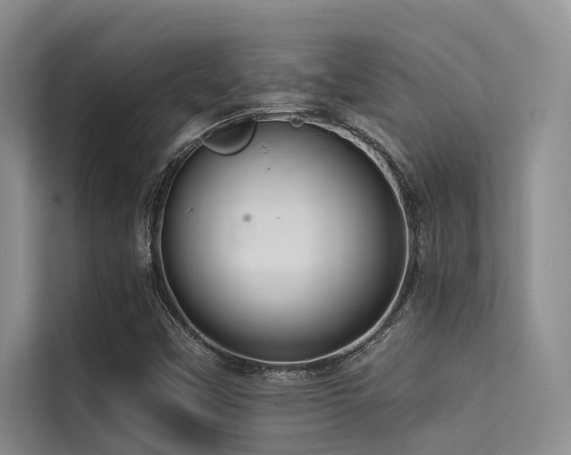 X0000114721451200910211337