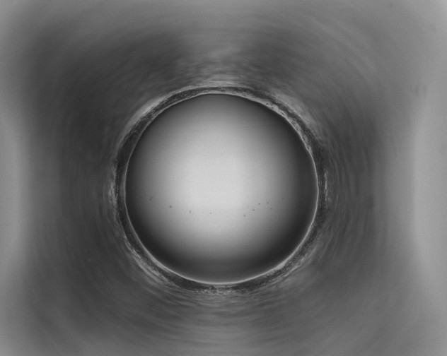 X0000114721452200910211337