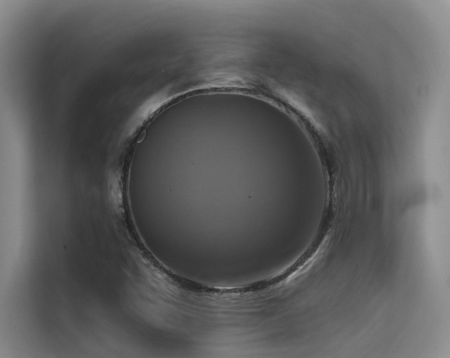 X0000114721455200910211337