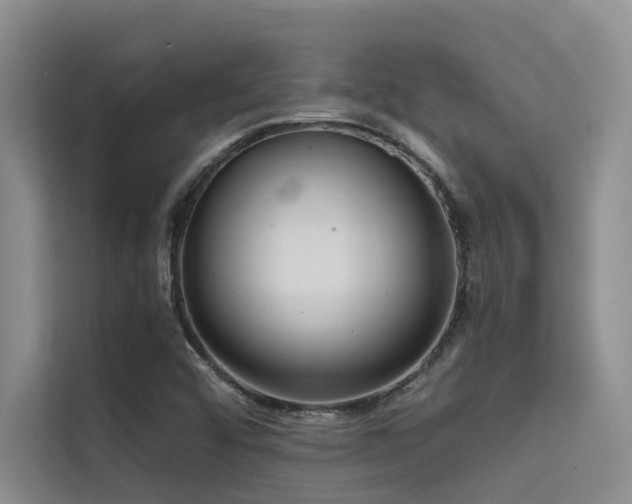 X0000114721456200910211337