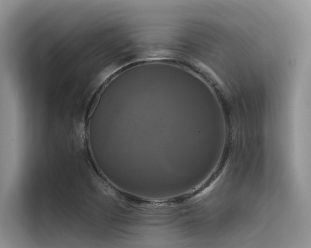 X0000114721457200910211337