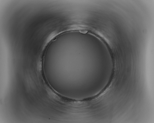 X0000114721459200910211337