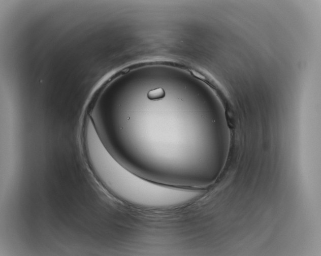 X0000114721460200910211337