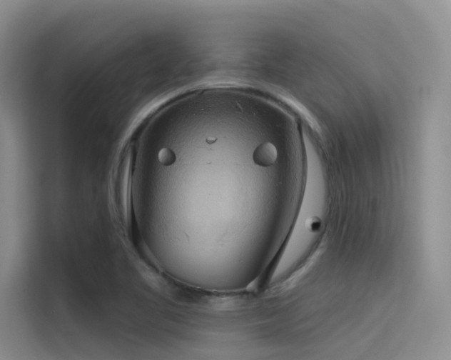 X0000114721461200910211337