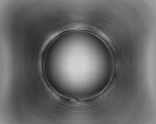 X0000114721464200910211337