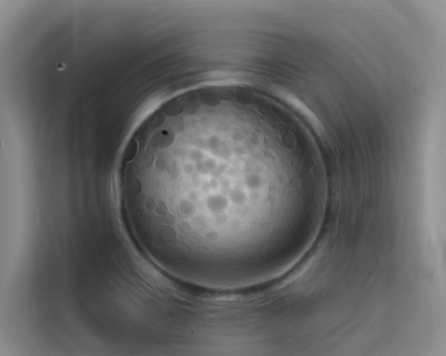 X0000114721467200910211337