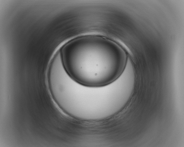 X0000114721468200910211337