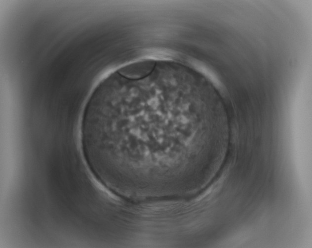 X0000114721471200910211337