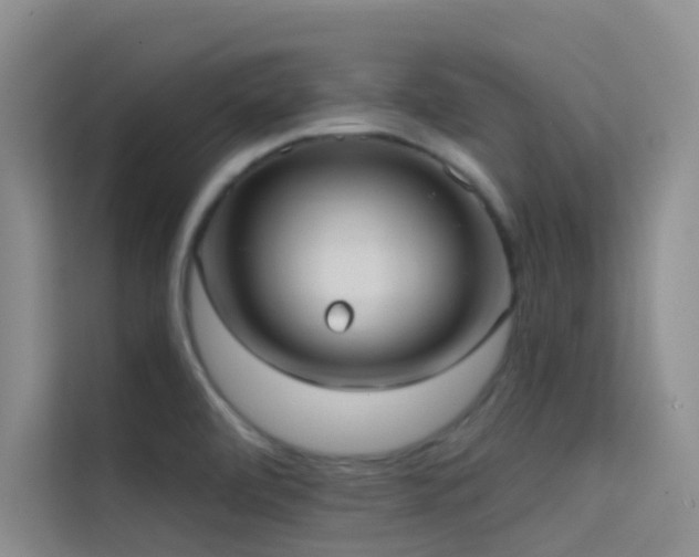 X0000114721472200910211337