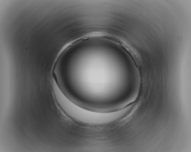 X0000114721473200910211337