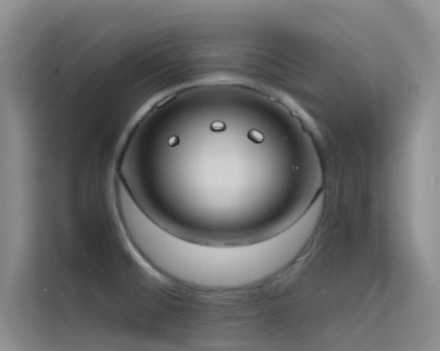 X0000114721476200910211337