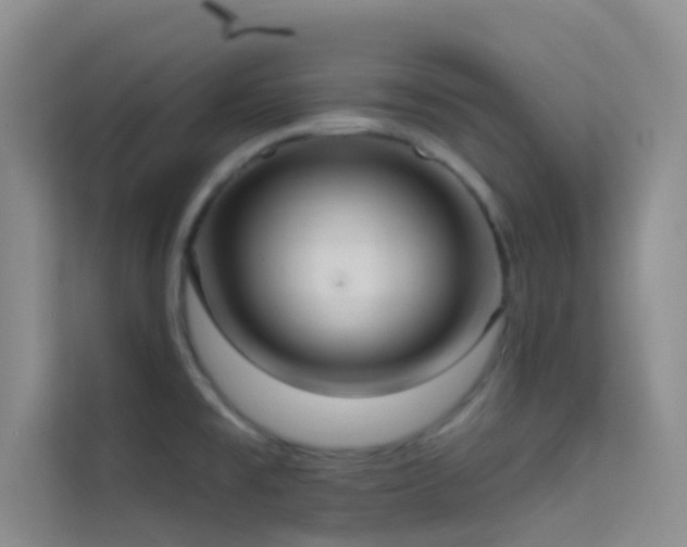 X0000114721477200910211337