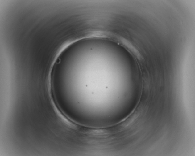 X0000114721479200910211337