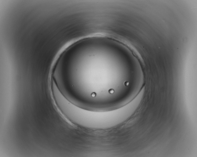 X0000114721480200910211337