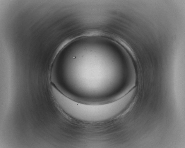 X0000114721481200910211337