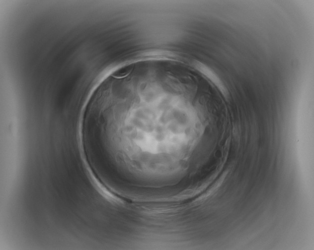 X0000114721482200910211337