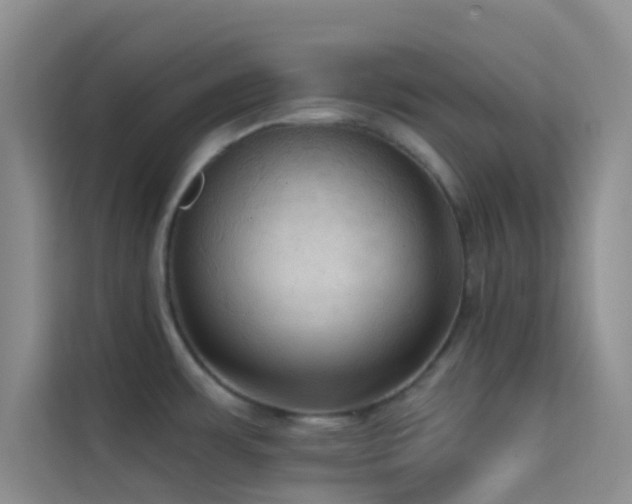 X0000114721483200910211337