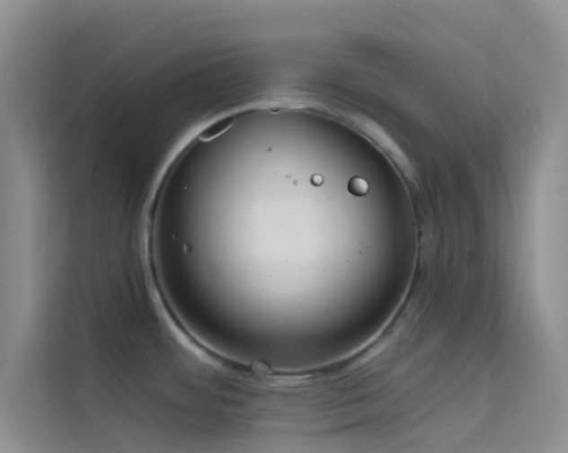 X0000114721484200910211337