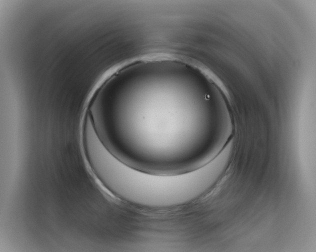 X0000114721485200910211337