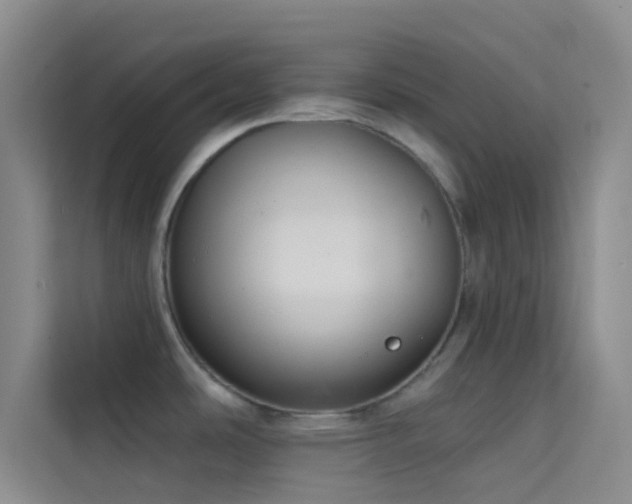 X0000114721486200910211337