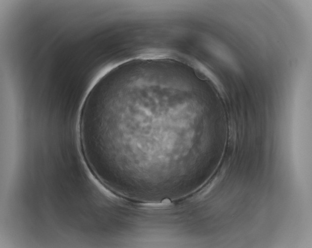 X0000114721487200910211337