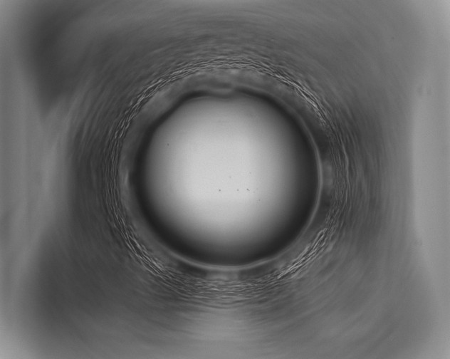 X0000114721489200910211336