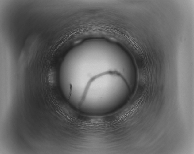 X0000114721490200910211336