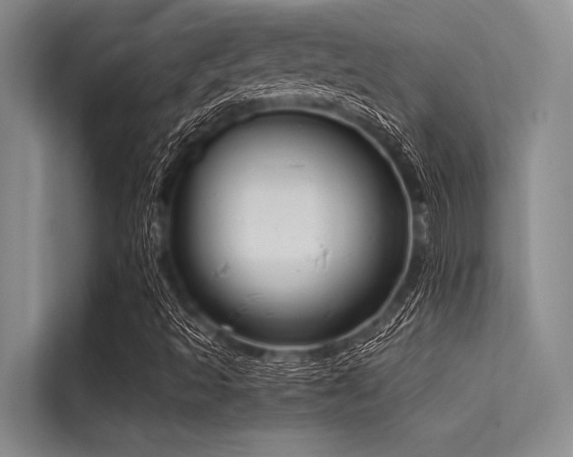 X0000114721493200910211336