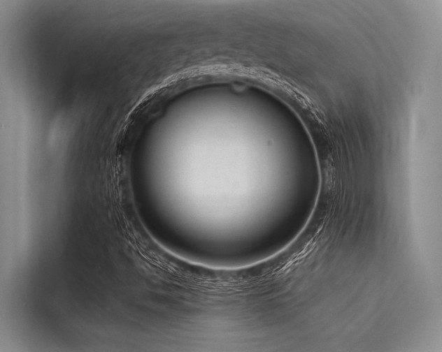 X0000114721494200910211336