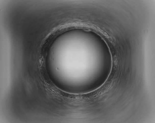 X0000114721495200910211336