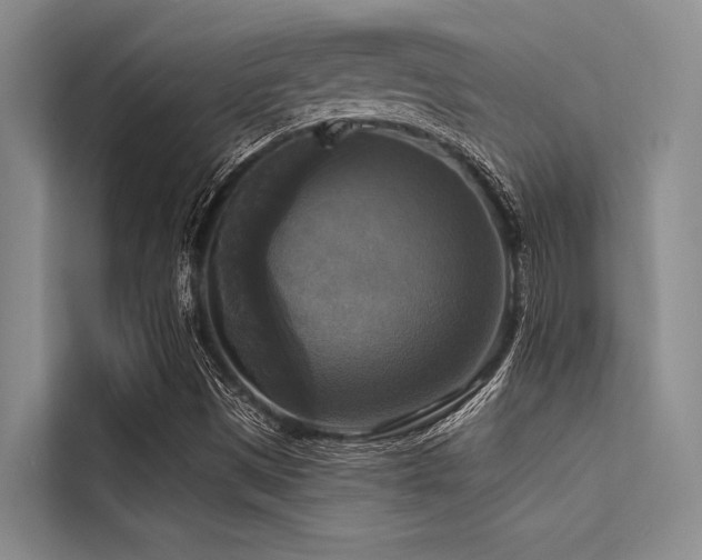 X0000114721497200910211336