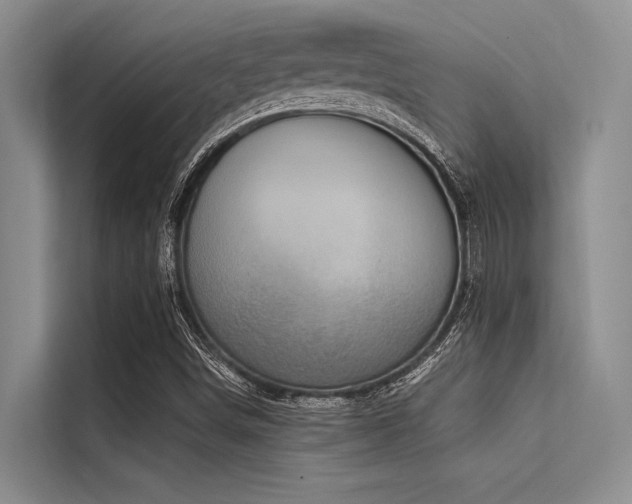 X0000114721498200910211336