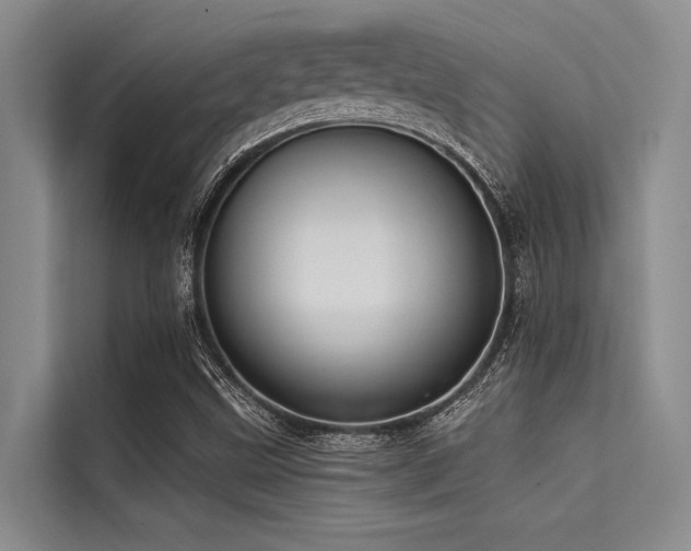 X0000114721499200910211336