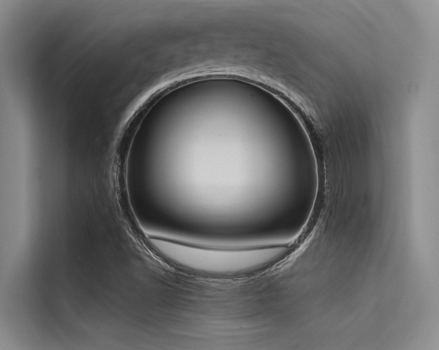 X0000114721502200910211337