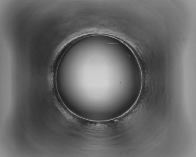 X0000114721503200910211337