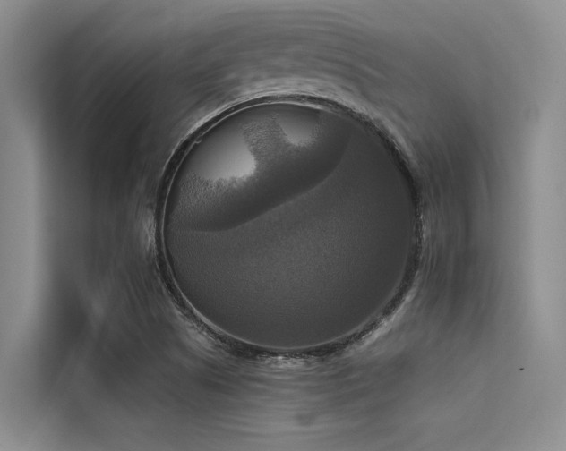 X0000114721505200910211337