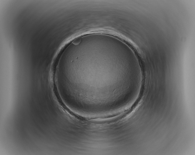 X0000114721506200910211337