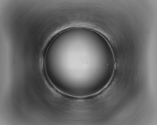 X0000114721507200910211337